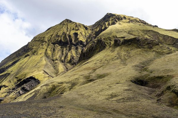 L'impact du régime végétarien sur votre bien-être et votre silhouette