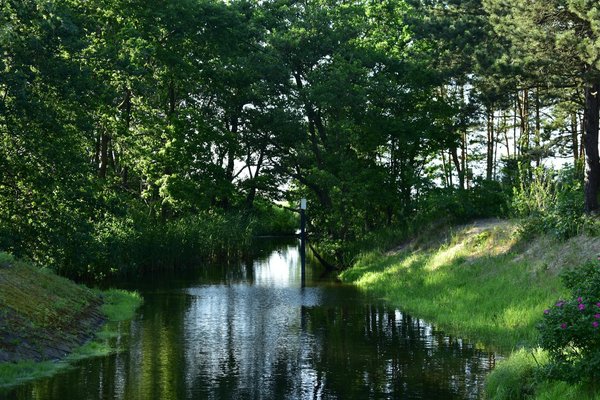 Garder son indépendance en vieillissant : des conseils pratiques